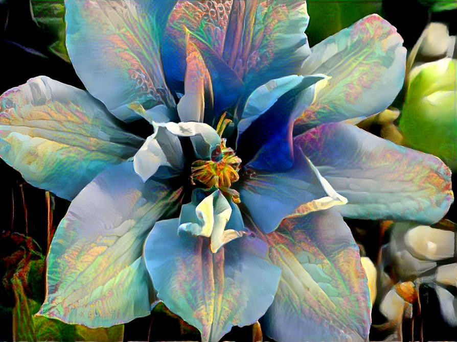 Iridescent Flower Petals