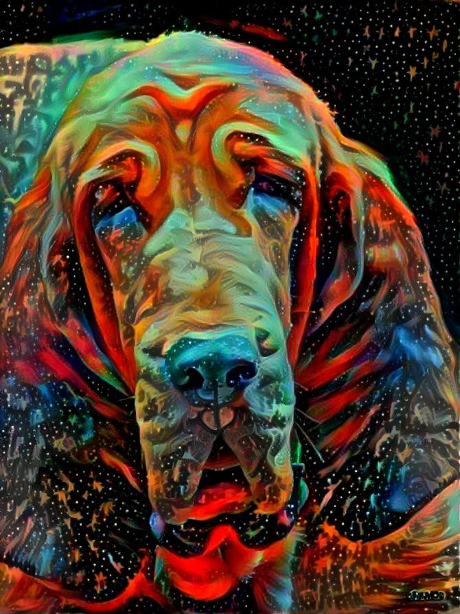 My bloodhound girl Iranda