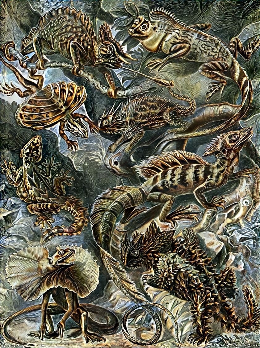 ''Lizards' play'' _ source: artwork by Ernst Haeckel _ (200810)