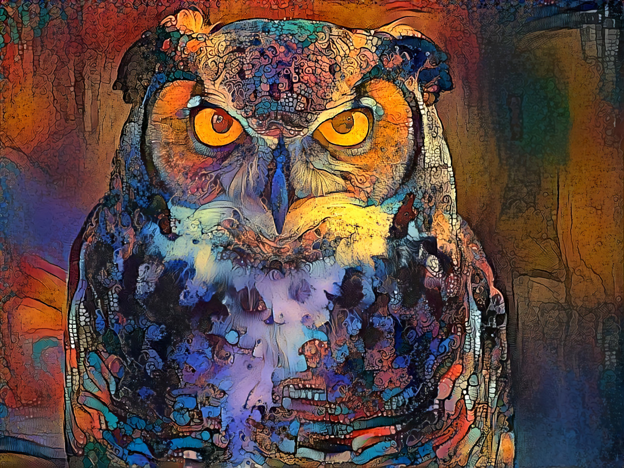 Owl 