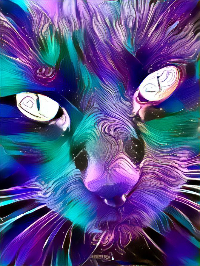 Cosmic Cat