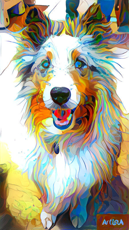 Colorful Collie