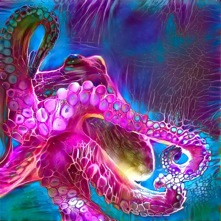 Octopus