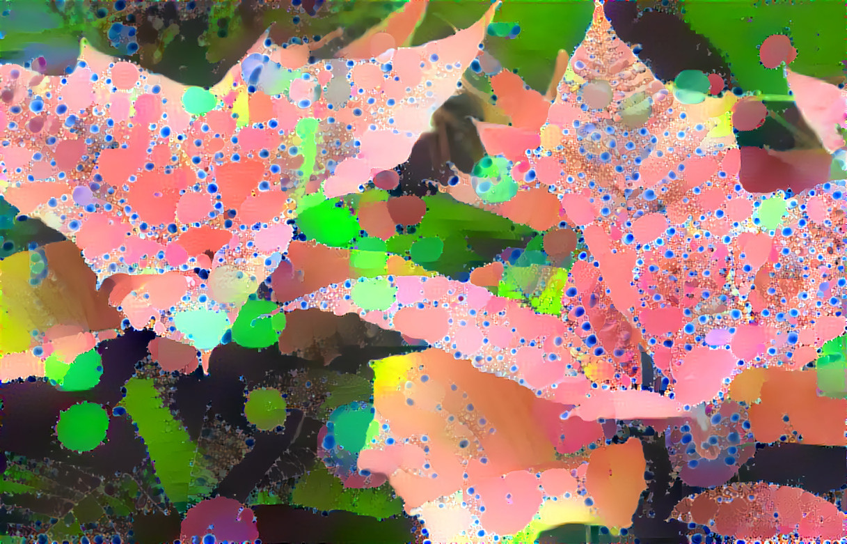 Poinsettia 4 overlaid fractview 4