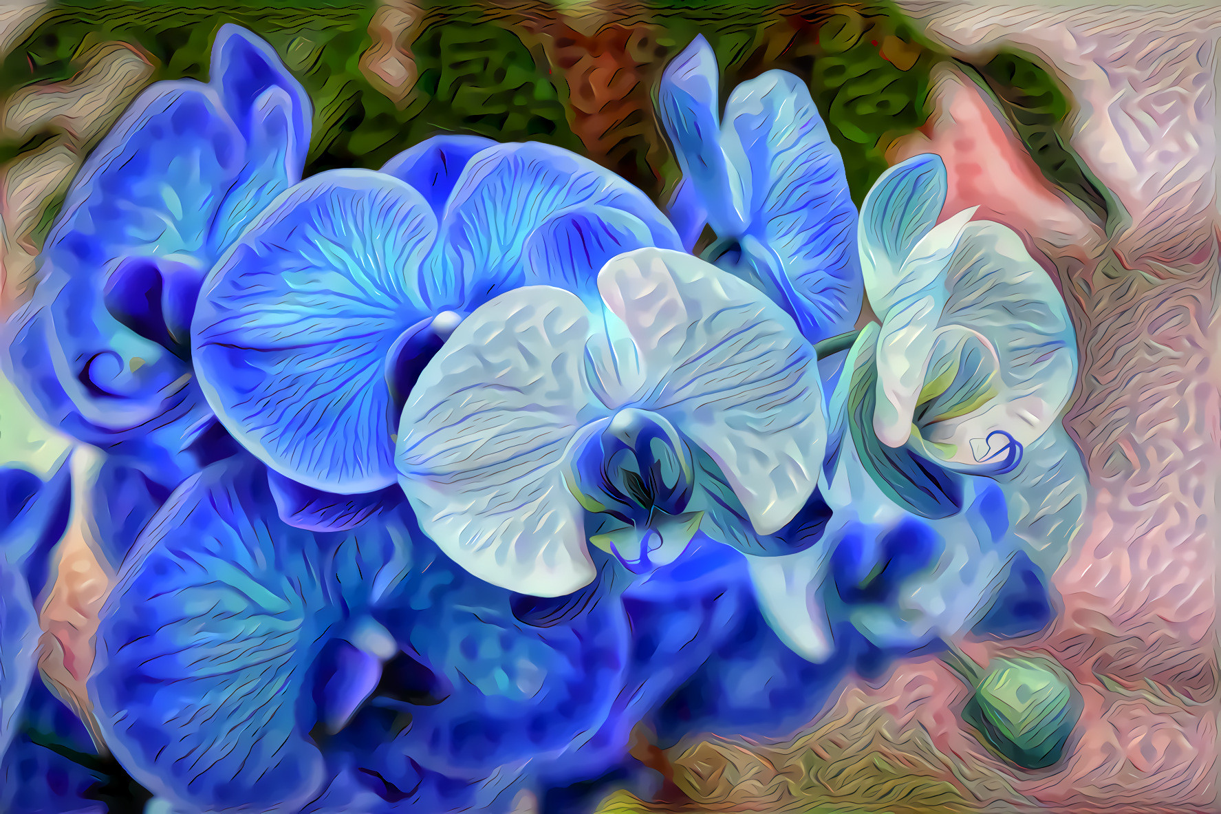 Blue Orchids