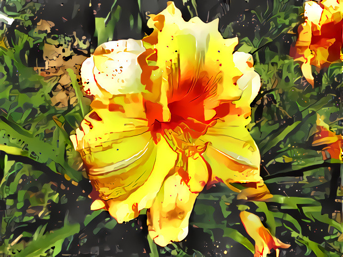 Daylily #21.