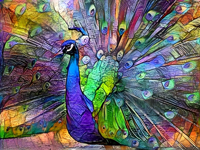 Peacock!