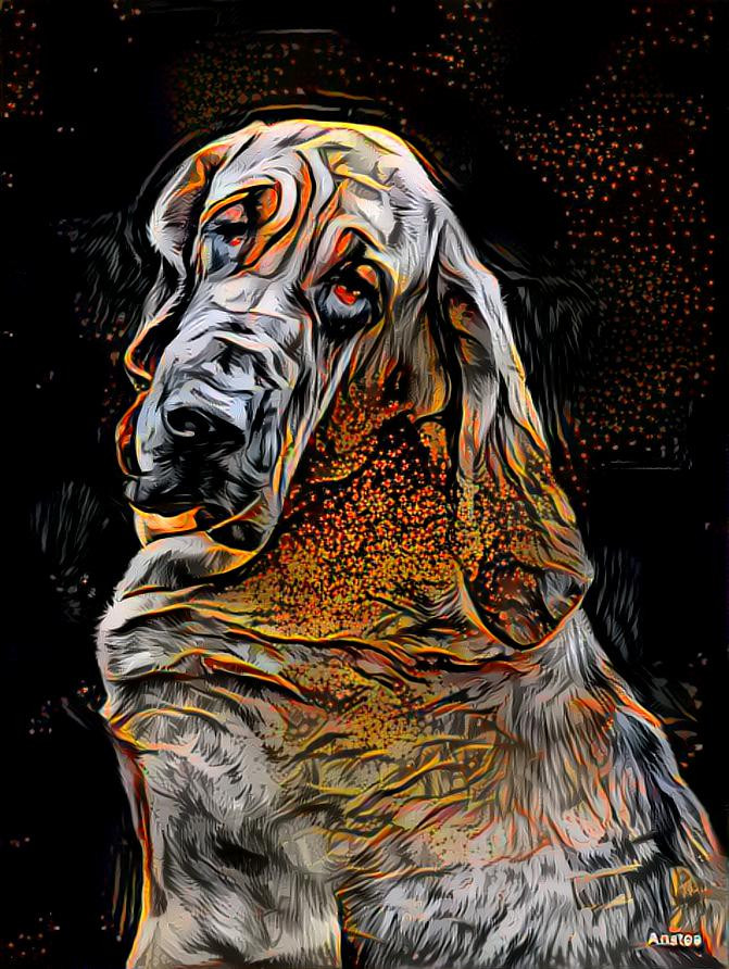 My bloodhound girl Lorenza