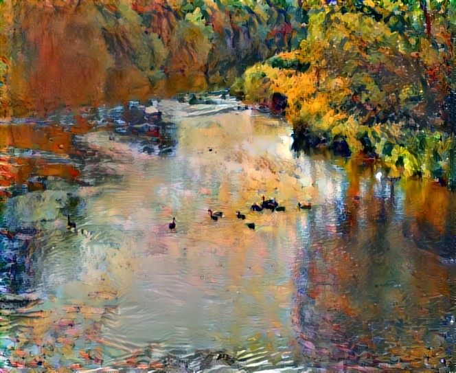 Geese in the river