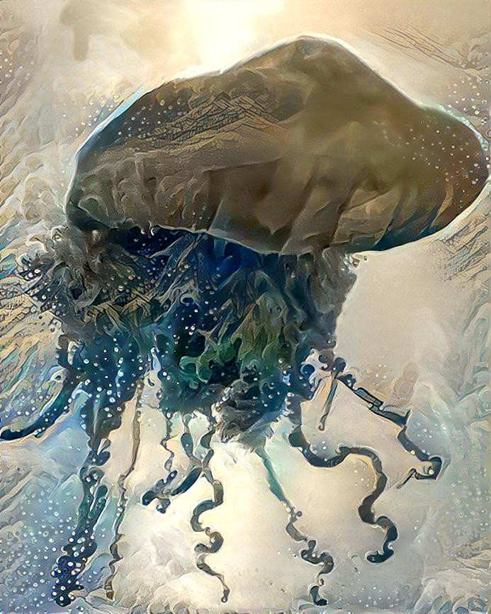 Portuguese man o' war