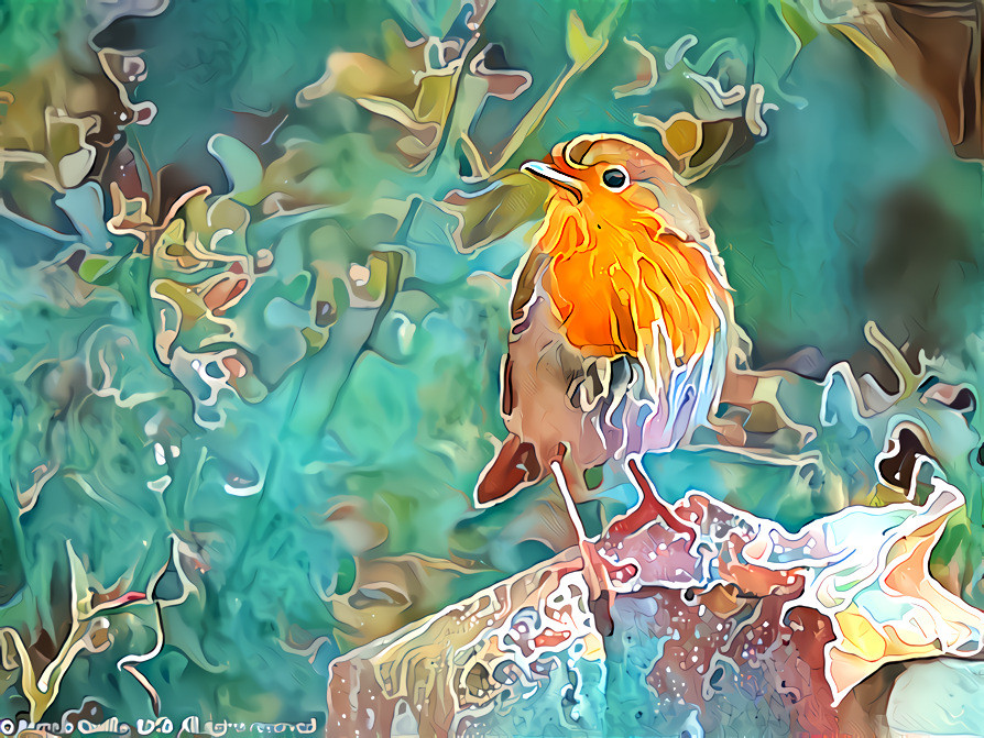 European Robin, copyright 2020 Pamela Saville