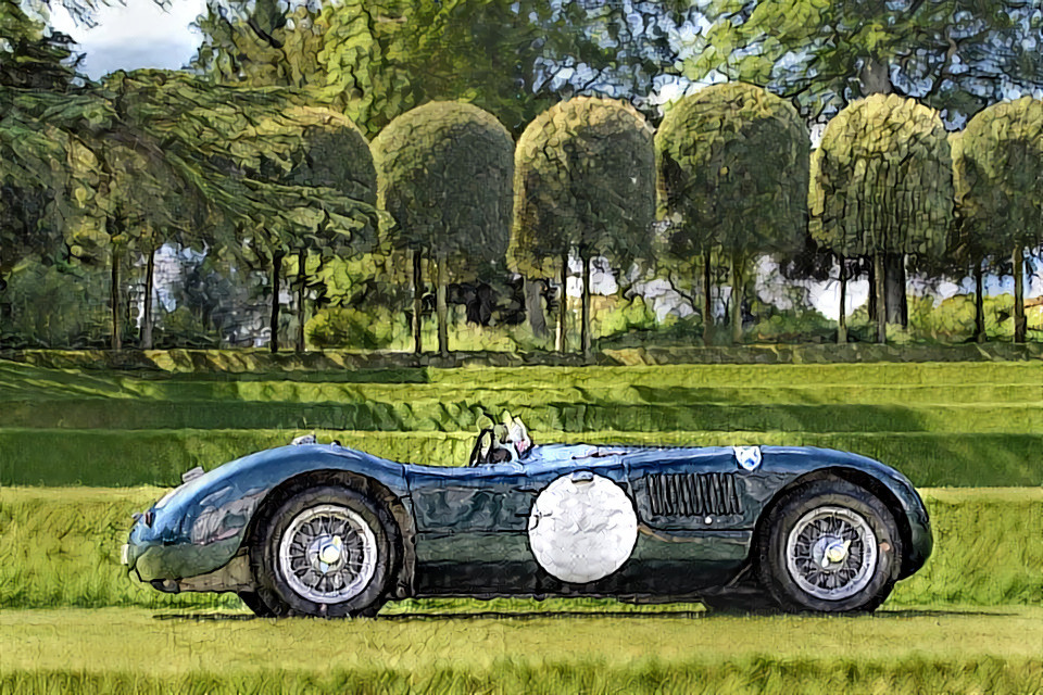 Jaguar C type