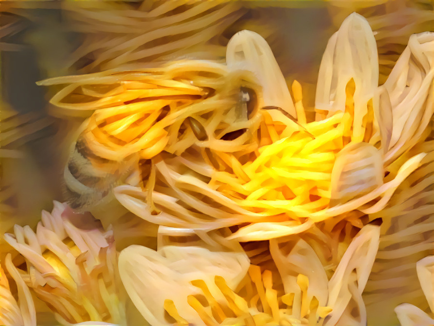 Spaghetbee