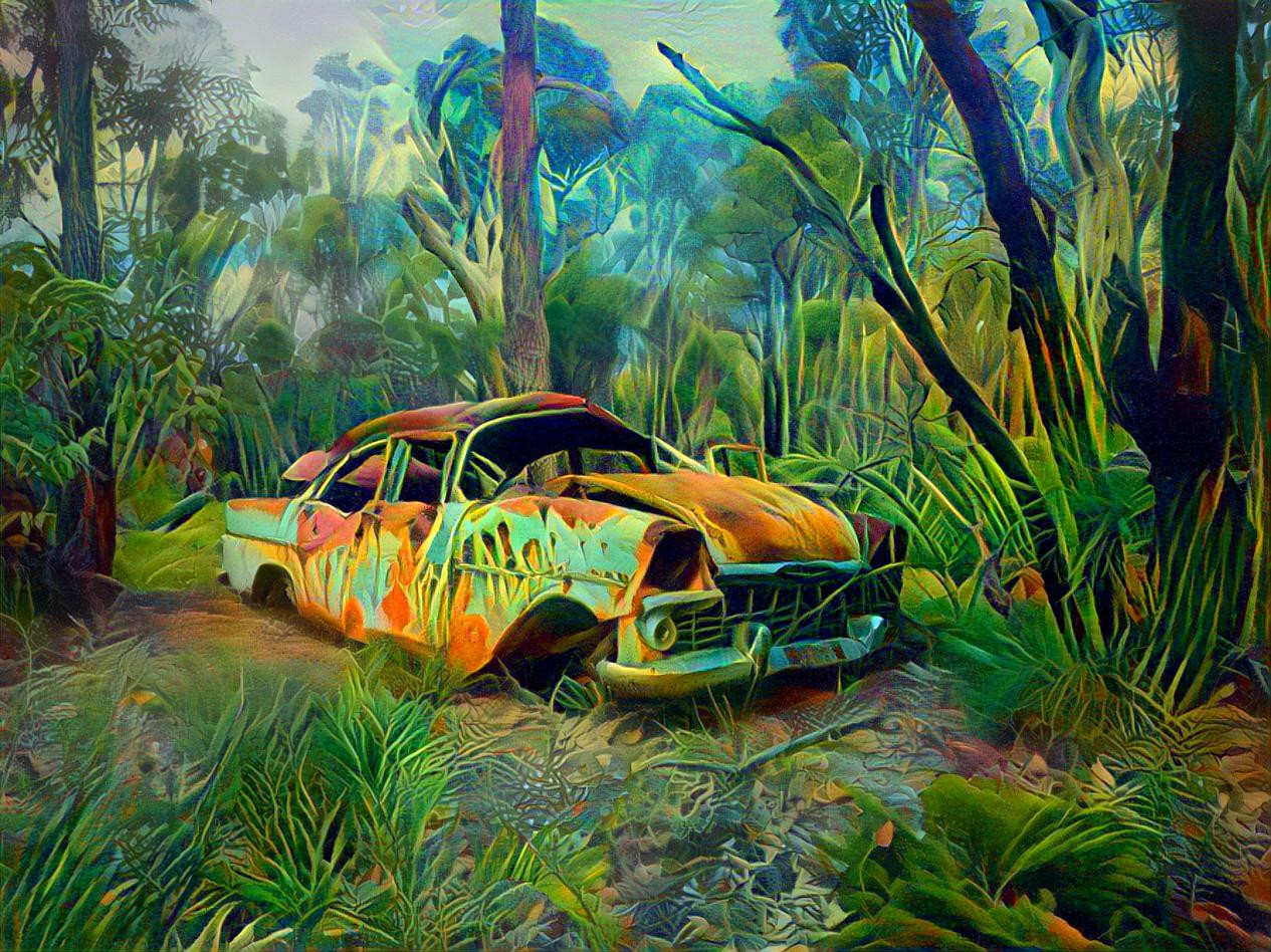 EK Holden found in the tropic jungle