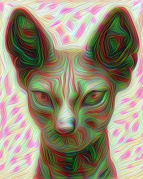 Sphynx 5