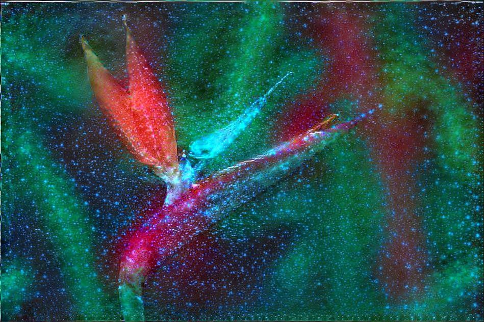 galaxy bird of paradise