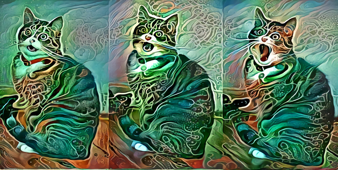 Cat Tripping 1