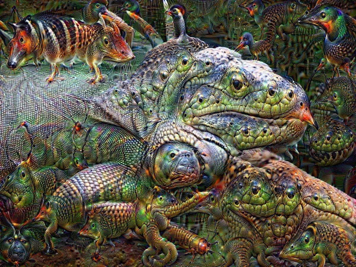 Iguana 01