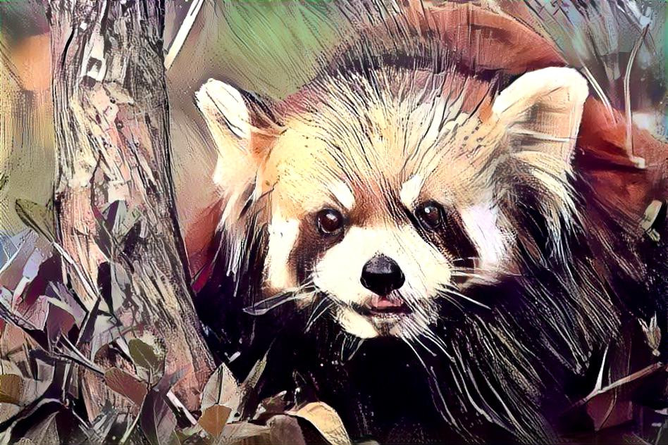 Red Panda