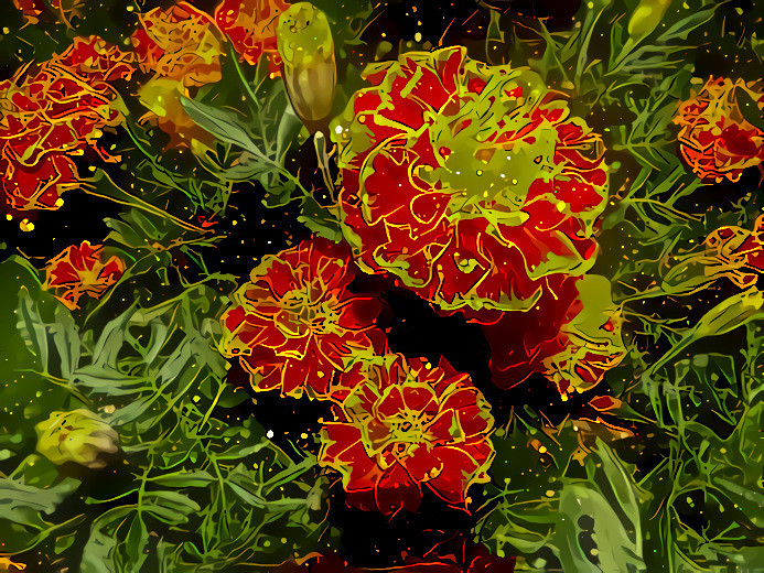 Marigolds #1