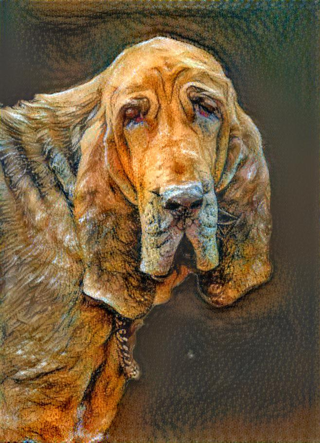 My bloodhound girl Iranda