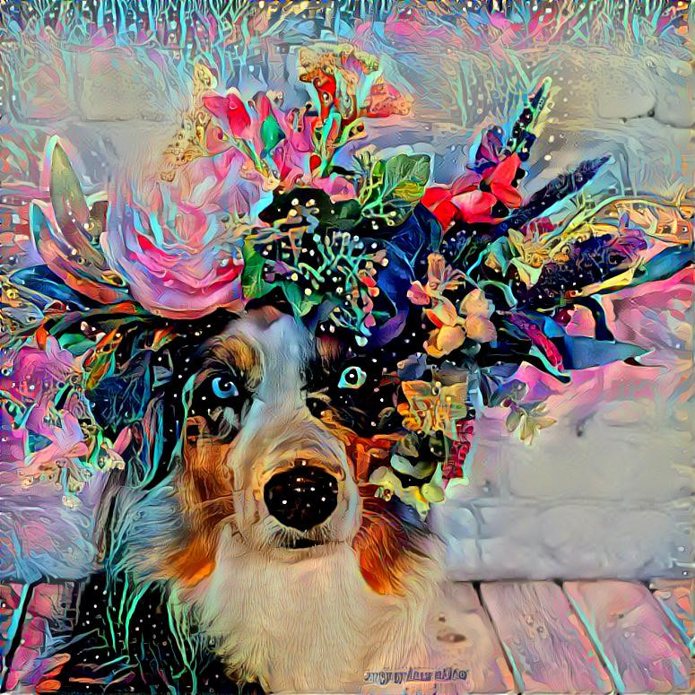 flower dog