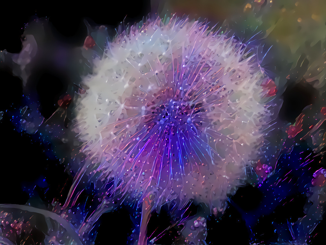 Dandelion