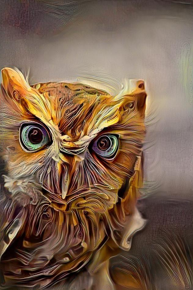 Owl