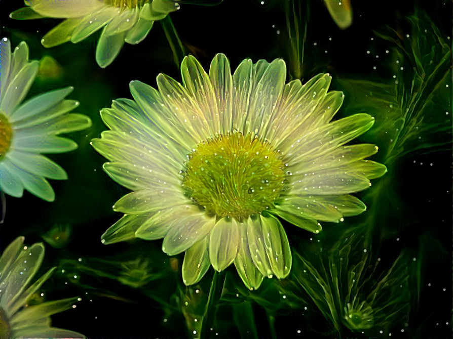 Green Flower Gossamer