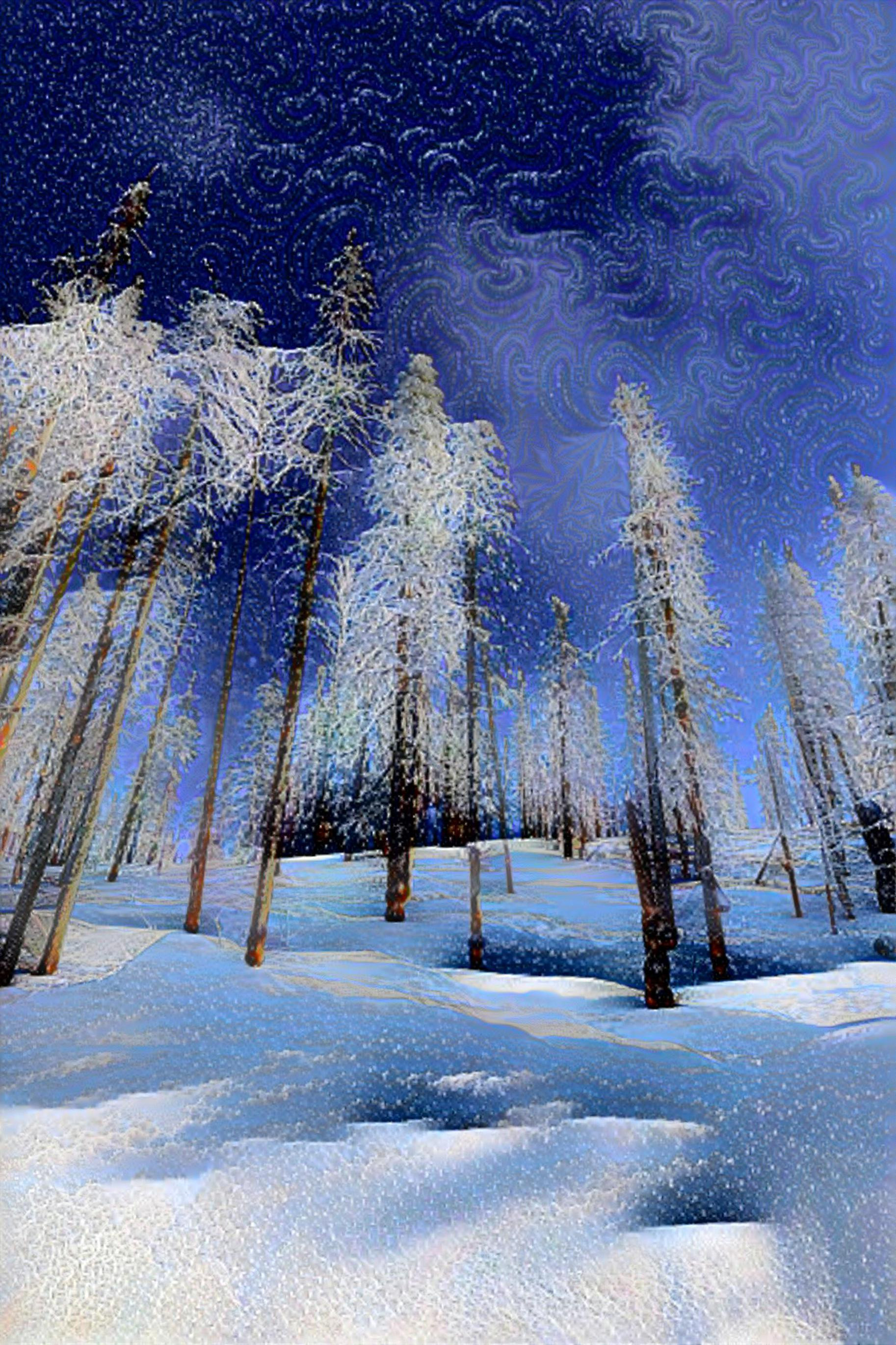 Snowy Mountain Trees