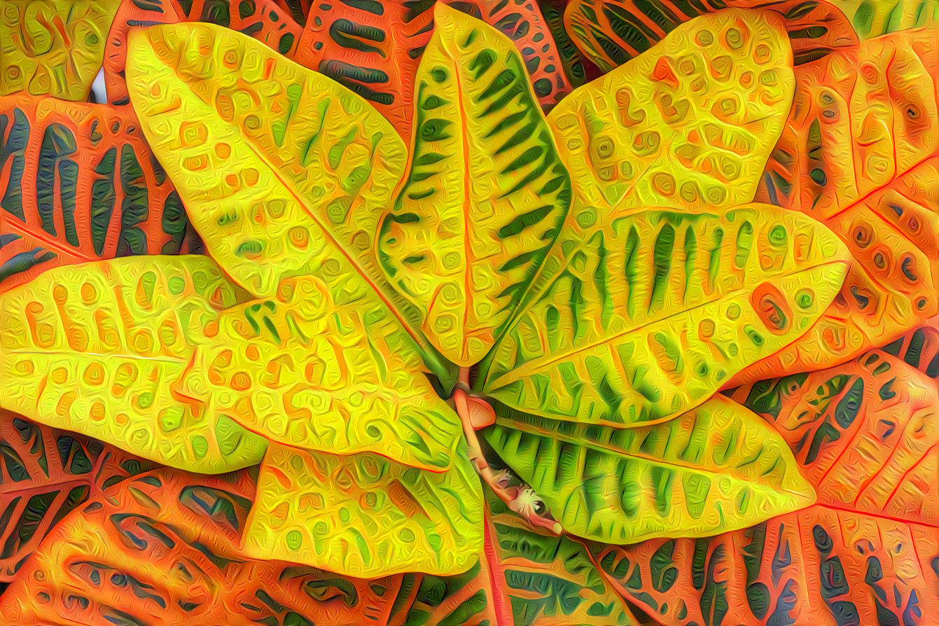 Tropical Leaves