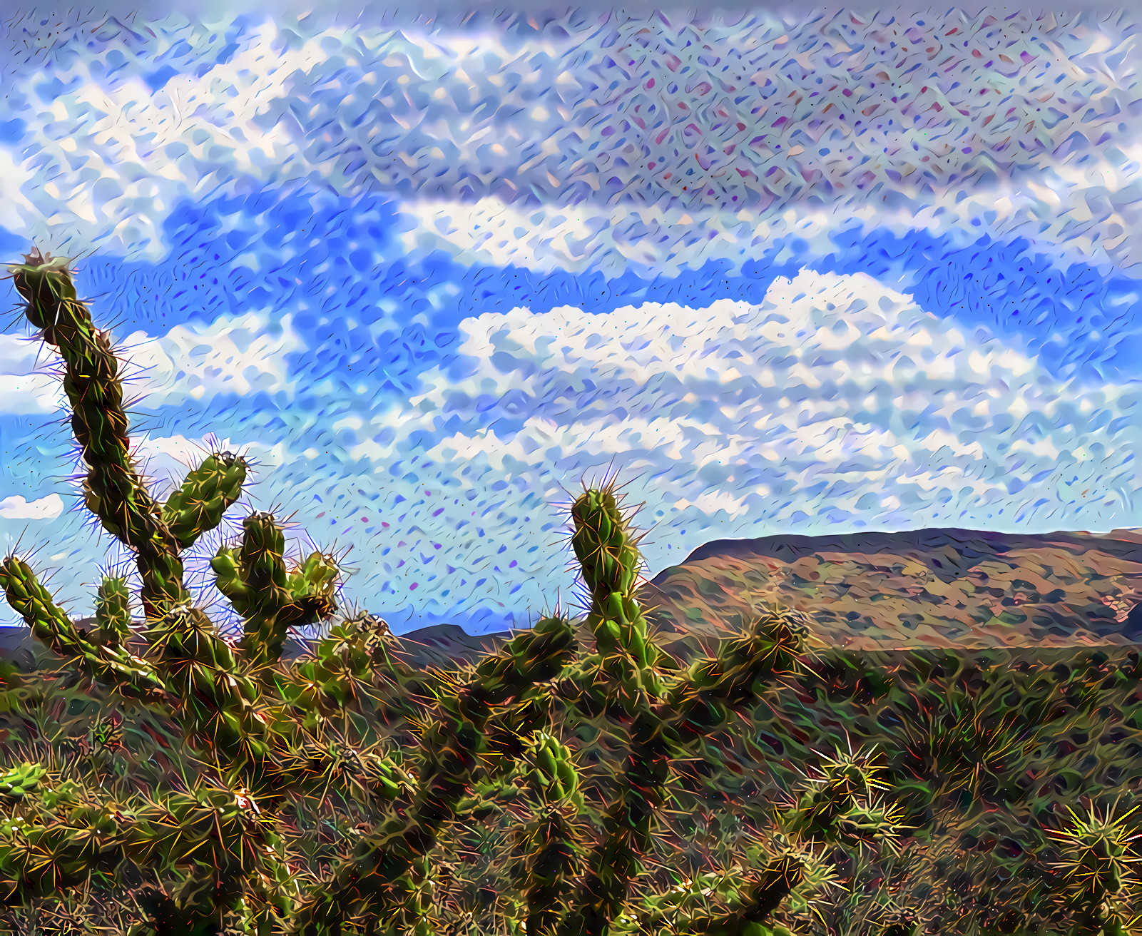 Staghorn Cholla in Red Rock Canyon