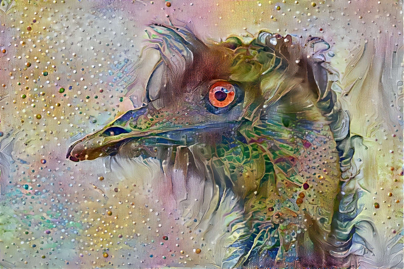 Emu