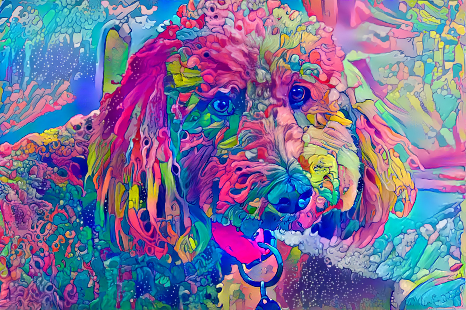 Coral Poodle