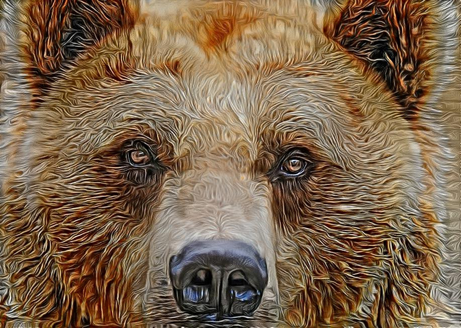 Deep Dream: Brown Bear (Ver.2)