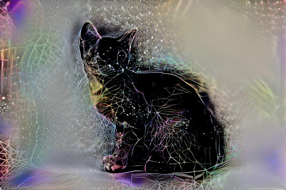 galaxy catto