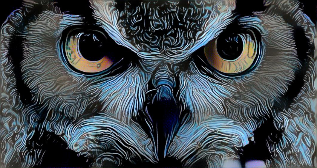 owl