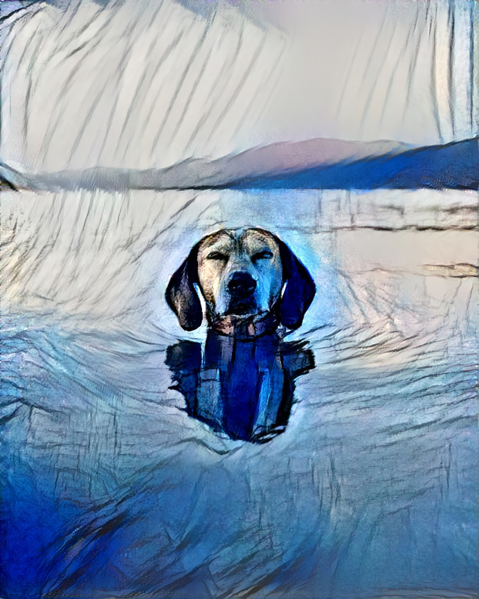 Dog in the Lake