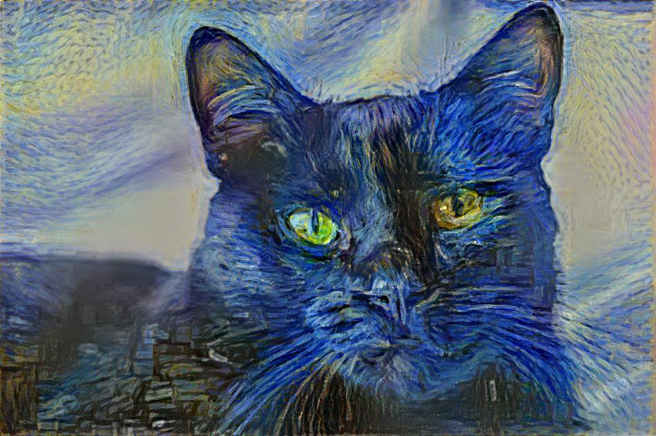 Blue cat