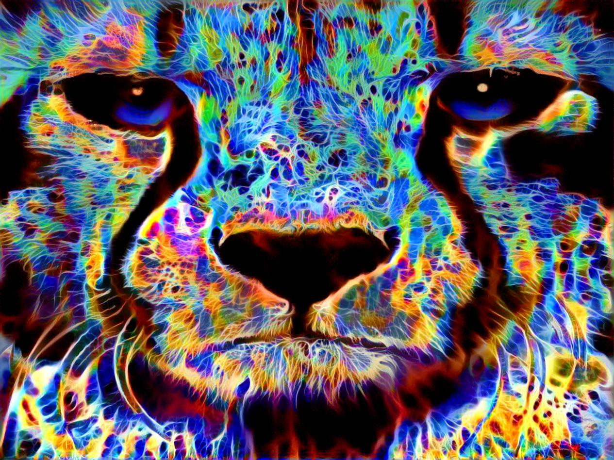 Rave Cheetah