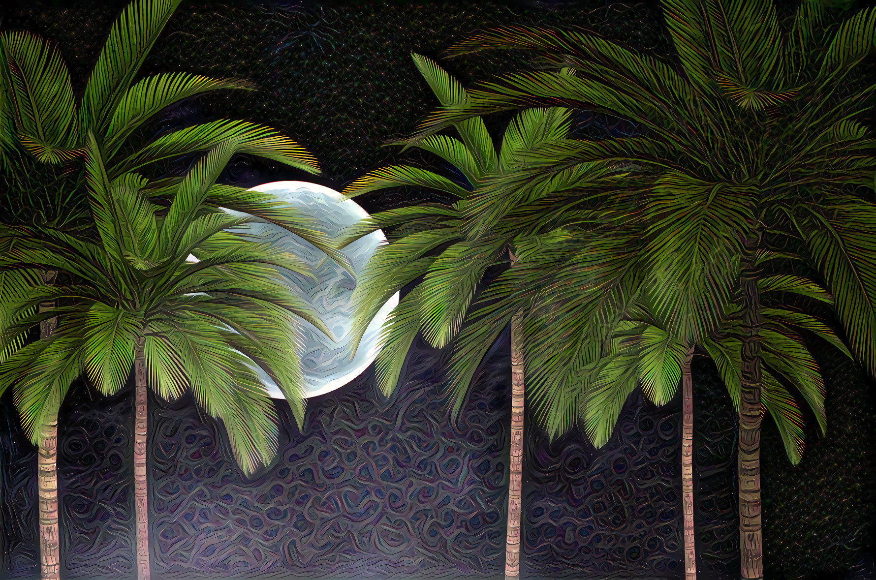 Moon and Palm Trees