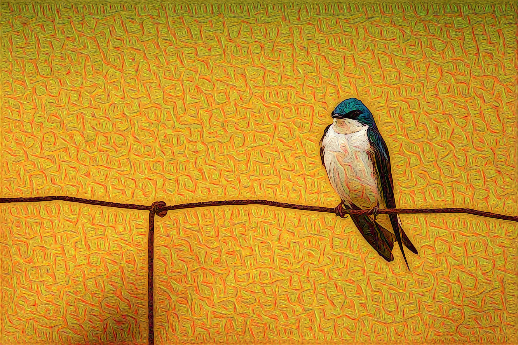 Bird on a Wire