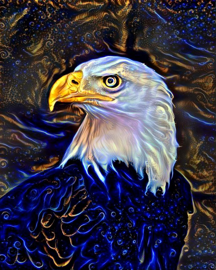 Bald eagle