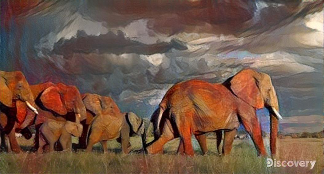 Elephants of the Serengeti