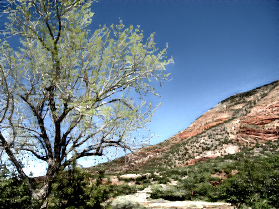 Springtime in Jemez, NM