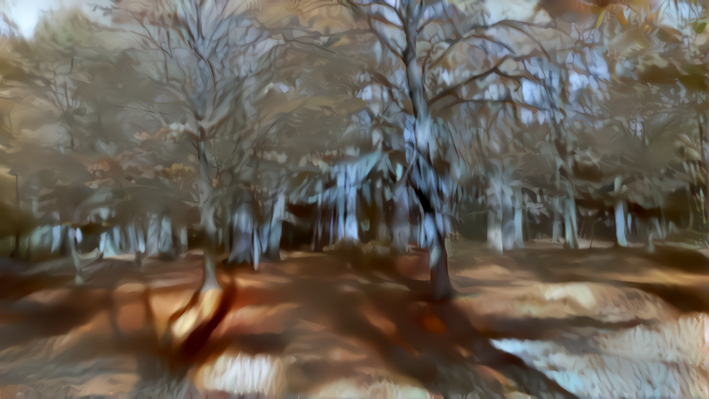 Creepy forest