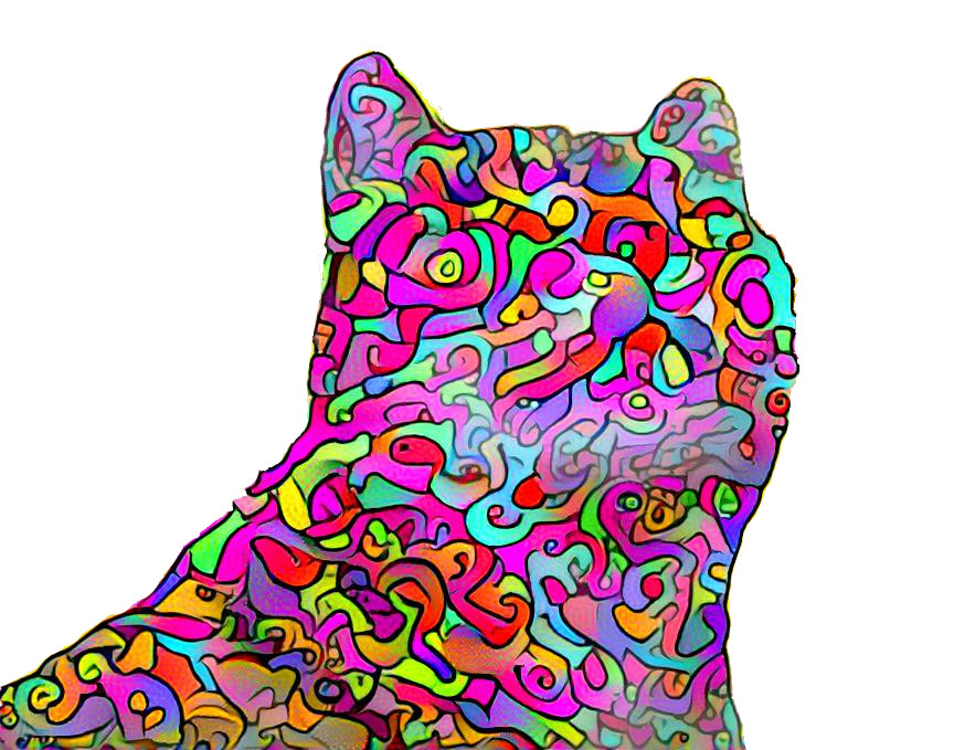 Colorful Cat