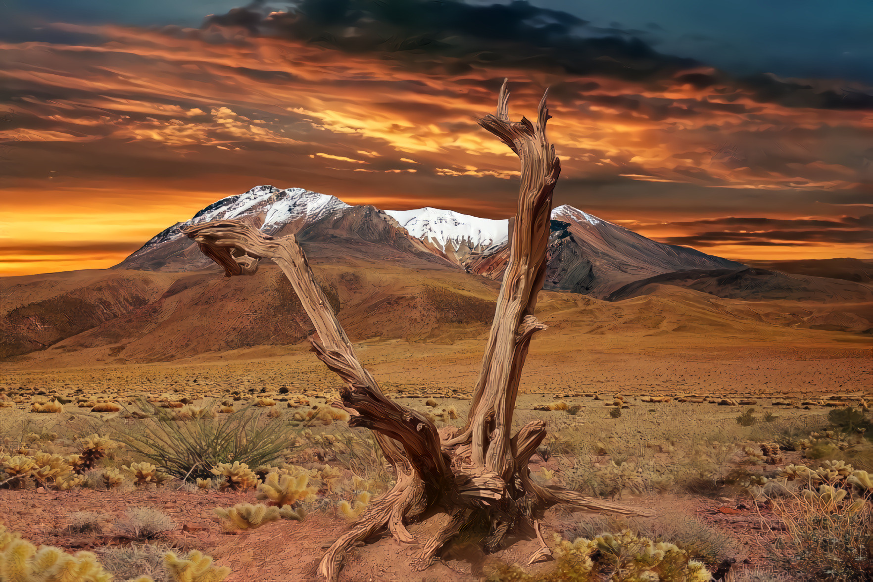 Mountains, Sunset, Dead Tree