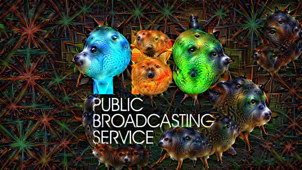 Public Dreaming Service