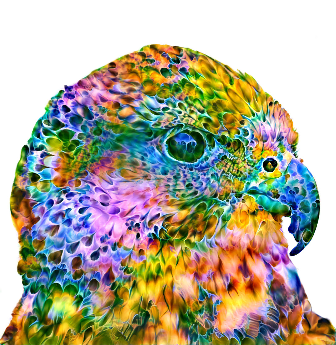 Style Transfer Art by Daniel W. Prust